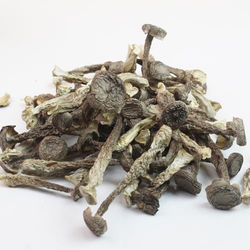 QIANPINHUI Dried Fried Chicken Mushroom Unique Flavor-Crisp Dried Mushrooms Organic Natural Fresh Crispy Mushroom for Chicken Soup,Fried Mushroom Crisps, Gravies,Meats Various Cooking- 2oz/56.70g