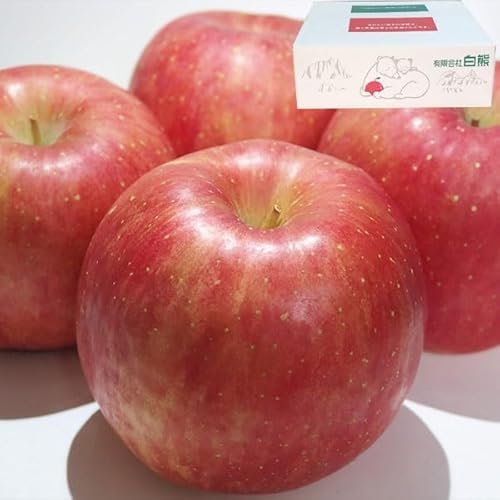  5kg 󂠂 XY OO ӂ 4kgȏ ƒp  TCYCbapple020-hf005 SDGS ƑEƒΕMtgENX}X̐H