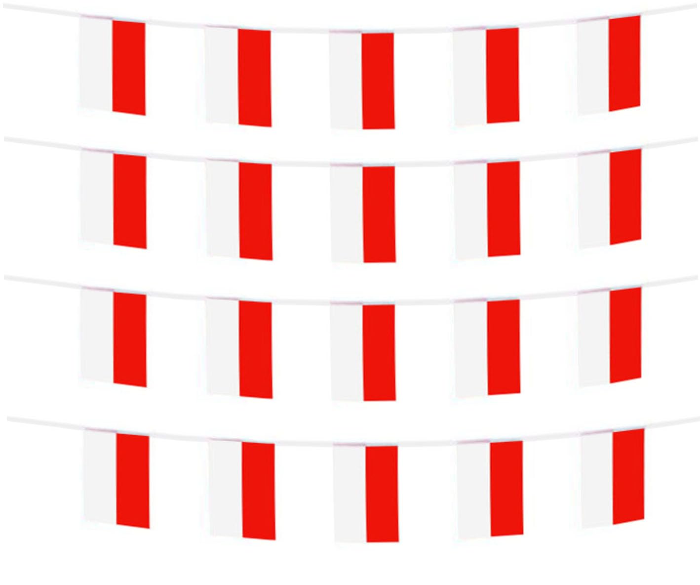 FFILL Indonesia Banner Flag, Indonesia Mini Flag Small Banner, for Party, Shops and Bars Decorations, And International Day Celebrations (Indonesia)