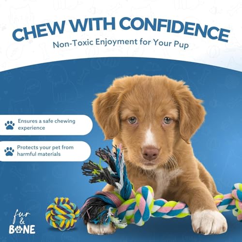 Fur & Bone 10er Set Kauspielzeug Welpe – Welpen Zubehör mit Baumwollseil, Hundespielzeug Quietschend & robustem Hundespielzeug für kleine Hunde – vielseitiges Welpenspielzeug für Training & Spiel