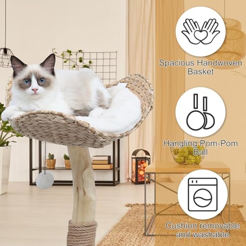KULAMOON Modern Cat Tree Tower for Indoor Cats, Real Branch Luxury Cat Condo with Scratching Post, Jumping Platforms, Hanging Toy Ball for Multi-Cat Households