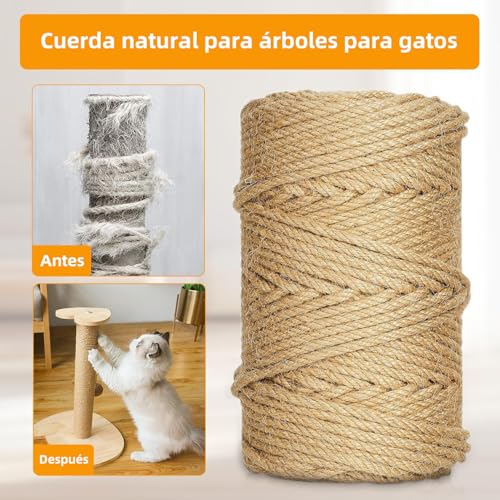 El Mejor Listado de Rollos de hebras los 10 mejores. 2 Imagen adicional