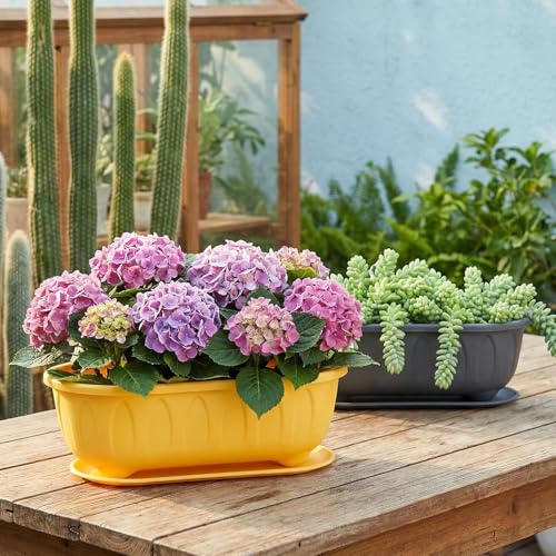 Image of StyleX Store Plastic Rectangle Round Corner Flower Pots with Drainage Hole Saucers Durable Outdoor Indoor Planters with Tray Plant Containers for Balcony, Garden, Home & Office (Set of 5 Sky Blue)