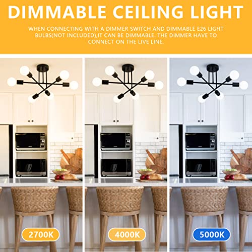 El mejor review de Lamparas de techo modernas baratas Top diez. 11 Imagen adicional