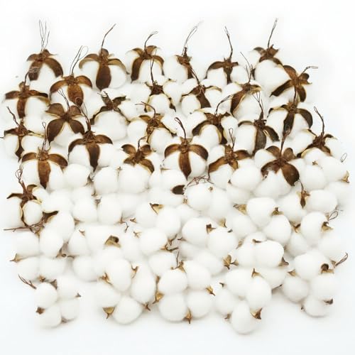 50 Pcs White Cotton Bolls Balls Decor, Dried Cotton Balls for Wreath Decorative, Home, Wedding Decor Balls (50pcs)