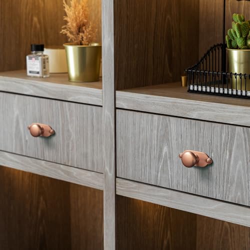 Image of Goo-Ki Brushed Copper Zinc Alloy Cabinet Large Knob with Backplate - Single Hole Center Cabinet Pull Hardware for Bedroom, Kitchen, 2 Pack(8611-G013)