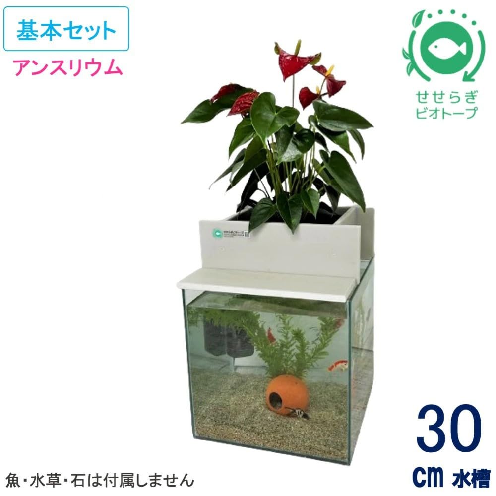 Amazon | せせらぎビオトープ 水替え不要【水槽セット】30cm型【基本