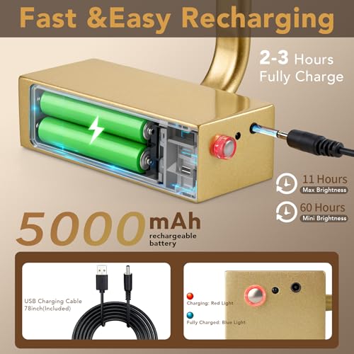 Image of RAIFOOLLY Picture Light, 16inch Cordless Picture Lights for Wall with Timer and Dimmable, Battery Operated Metal Wall Lights for Display Gallery Painting Art Frame Portrait - Gold