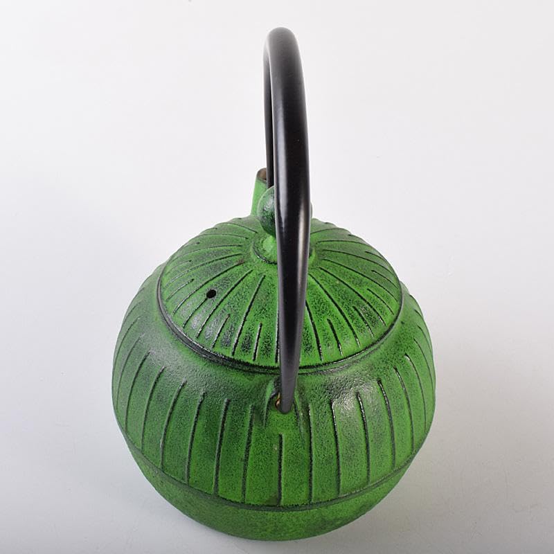 煎茶道具　南部鉄器　 盛栄堂造　カラー急須　若草色　C　R7575 Amazon.co.jp: 煎茶道具 南部鉄器 盛栄堂造 カラー急須 若草色 C