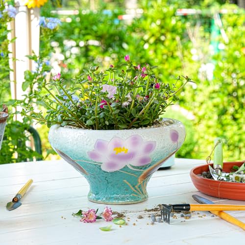 Image of Sungmor 9.6 Inch Large Succulent Plant Pots, Pretty Hand Painted Ceramic Planter with Drainage, Indoor Outdoor Cactus Planter Bonsai Pot, Flower Pot for Indoor Plants Garden Windowsill Desktop Decor
