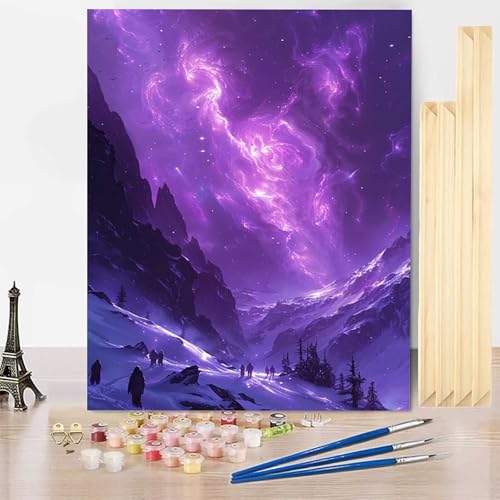 Paint by Numbers for Adults with Frame ���i �������G 30x40 cm, ��l ��h�� DIY�G�f�W�^�����G �I�[���� �i���o�[�y�C���g ���S�҂Ƒ�l - �K�p�Ώ� �C���e���A �Ǐ��� �z�[���f�R���[�V���� -j25