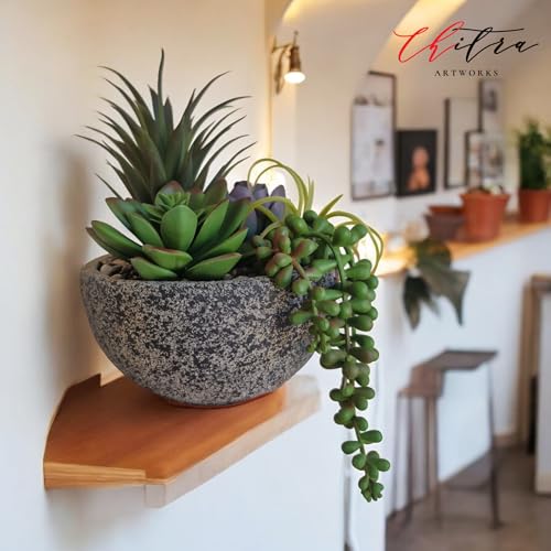 Image of Art Works Chitra Art Works Artificial Plants with Pot | Realistic Faux Greenery, No Maintenance, Durable Plastic | Home & Office Decor, Indoor Use | 18x15cm (Pack of 1)