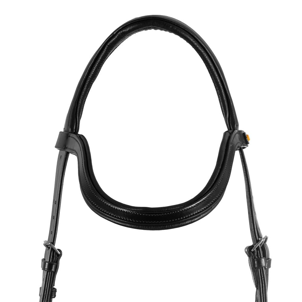 Briglia testiera Comfitec, Sagomata in Cuoio, Nera, Regolabile con Imbottiture (BLACK, PONY)