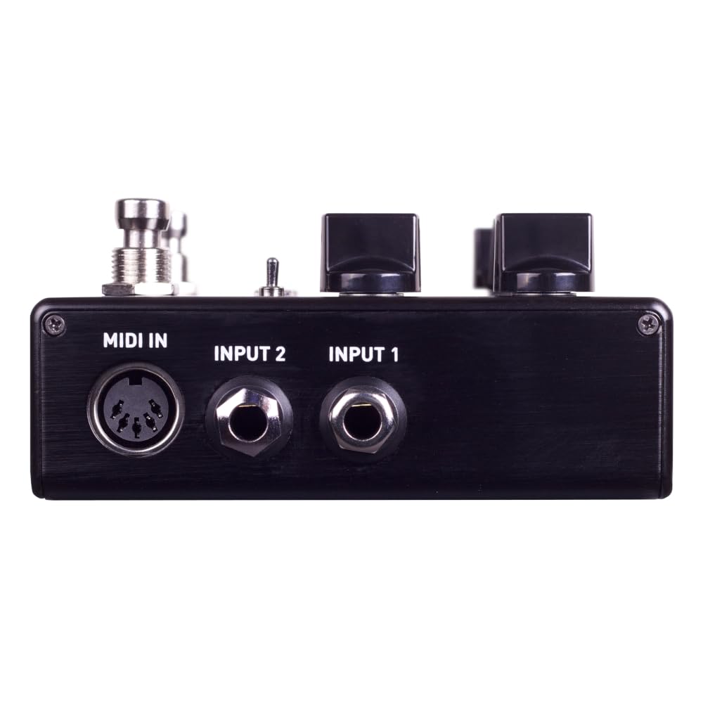 Amazon | Source Audio / SA264 ENCOUNTER Ambient Delay+Reverb