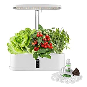 WADEO Smart Hydrocultuur Tuinverlichting, Indoor Automatische Timer Kiemkit In hoogte verstelbaar met LED Grow Light Ingebouwde Waterpomp10 Pods UK Plug voor Thuis Keuken