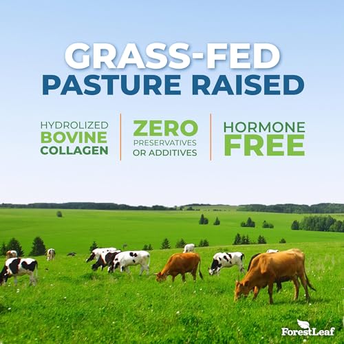 ForestLeaf Multi Collagen Pills - Collagen Men & Collagen Women - Hydrolyzed Collagen Supplements with Vitamin C & Hyaluronic Acid - Collagen Capsules for Hair, Skin & Nails (240 Peptide Capsules) - Image 5