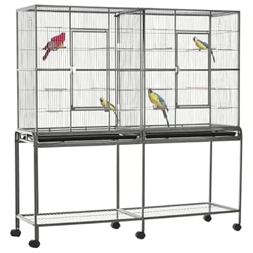 Bird Cage with Multiple Perches and Feeders – Which One Stands Out? 1 bird cage with multiple perches and feeders