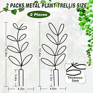 Plant Trellis for Climbing Plants, 2 Pks Garden Trellis 12'' Leaf Shape Plant Trellis Metal Wire Stake for Potted Plants, Houseplant, Home Plant, Mini Rose, Plant Lover Gifts (Black) Plant Trellis for Climbing Plants 2 Pks Garden Trellis 12 Leaf Shape Plant Trellis Metal Wire Stake for Potted Plants Houseplant Home Plant Mini Rose Plant Lover Gifts Black