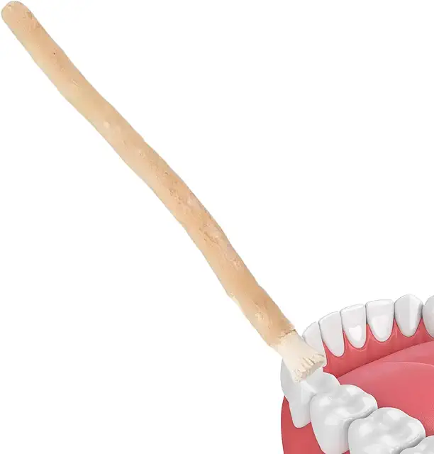 Miswak Sticks - Palitos de Cepillo Dental Natural Sostenible | Cuidado Dental
