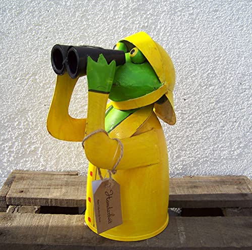 Gwenys Haus Zaunhocker Regen Frosch mit Fernglas