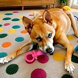 Generisch Hundeschnuller Spielzeug | Kauspielzeug Aus Naturkautschuk Für Hunde & Welpen,Interaktiver Beruhigender Kauartikel Mit Ergonomischem Design Für Zuhause & Park