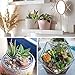 FAONIE Artificial Succulent Plants Unpotted - Premium Pack of Small Fake Succulent Plants (16 Pack)