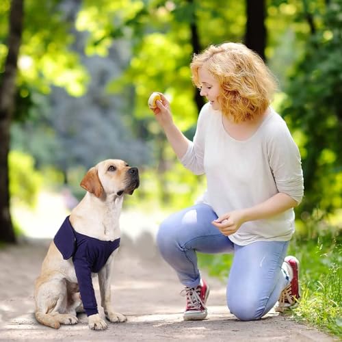 Joyan Hundebody Nach Kastration Rüde, Abriebfeste Erholungshülle für Hunde, Wundschutzanzüge für Hunde, Verhindert Lecken, Bisse, Nässe und Infektion bei Haustierwunden, Waschbar, Blau,L