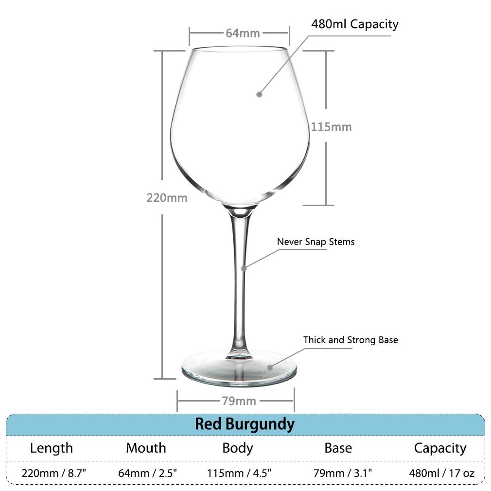 Verres à Bière En Plastique Tritan 480ml - Incassables, Lavables Au Lave-Vaisselle, Lot De 4