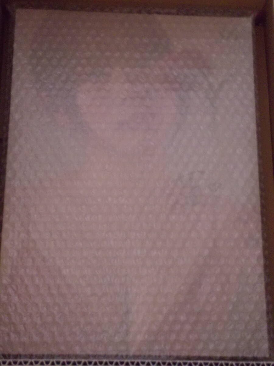 Amazon.co.jp: 白河芹 直筆サイン シリアルナンバー 入り パネル