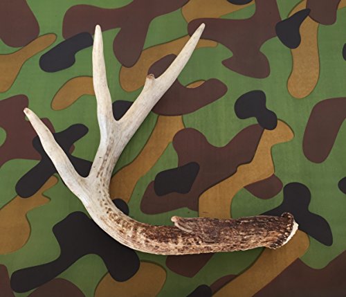 Camouflage Camo Printed Tissue Paper for Gift Wrapping, 24 Sheets