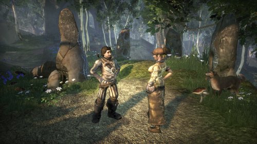 Microsoft Fable II, Xbox 360