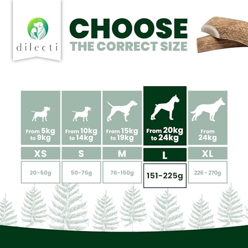 Dilecti Premium Natural Deer Antlers For Dogs, Rich in Proteins & Minerals, Durable - Image 4