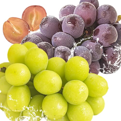 [Amazon.co.jp 限定]シャインマスカット ニューピオーネ 詰め合わせ 約1.2kg (各1房) 2房セット [2026年9月上旬-10月中旬頃より発送予定]岡山県産 訳あり 家庭用 ぶどう 先行予約 発送時期選べる 岡山 浅口市 葡萄 マスカット 旬 フルーツ デザート