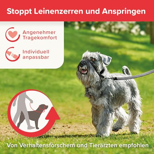 BEAPHAR - Gentle Leader® - Hundehalfter Für Kleine Rassen - Aus Nylon - Trainingshilfe Zur Kontrolle Und Führung - Von Tiertrainern Empfohlen - Größe S - Schwarz