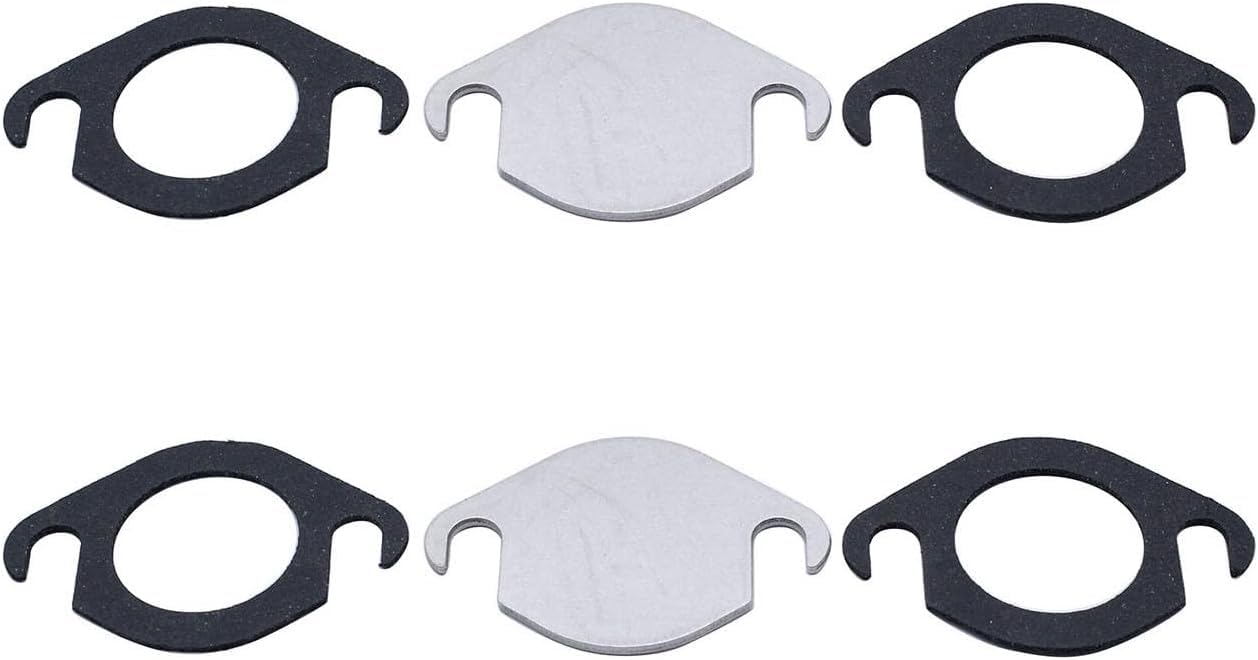 Set di 2 piastre di chiusura valvola EGR in acciaio inox con guarnizione compatibile per VW Touareg Audi A4 A5 A6 A8 Q5 2.7 3.0 TDI