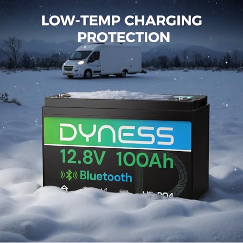 Image of Dyness 12V 100Ah Bluetooth LiFePO4 Battery, Deep Cycle Group 31 Lithium RV Batteries Built-in 100A BMS with Low-Temp Protection, 12.8 Volt Lithium Battery for Rv Camping, Home Solar System, Off-Grid