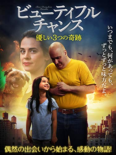 ビューティフル・チャンス　優しい3つの奇跡（字幕版）