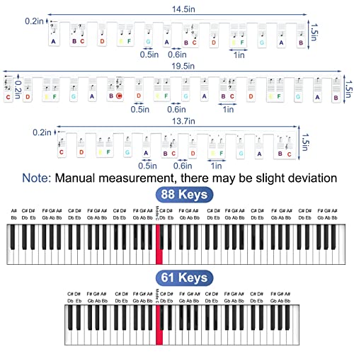 image for QUREZA Removable Piano Keyboard Note Labels, Piano Key Music Notes Let