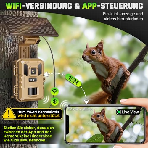 VIDVIS WLAN Wildkamera mit Handyübertragung App, 4K 64MP Wildtierkamera mit Nachtsicht Bewegungsmelder, Solar-Wild Kamera mit 850nm Infrarot-LED, 0,1s Auslösung, 32GB SD-Karte, IP66 Wasserdicht