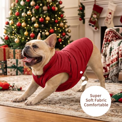 Image of JoyDaog Fleece Lined Dog Jacket for Small Dogs,Winter Dog Coat,Red M | Warm Windproof Puppy Vest for Cold Weather,Soft Cozy Doggie Clothes for Small Dog Breeds,Outdoor Daily Walk,Snow Play