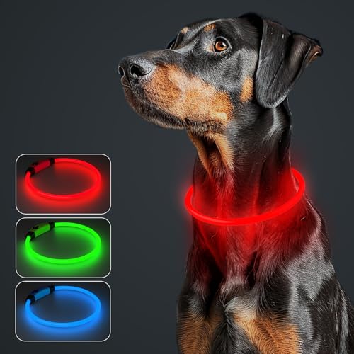 MASBRILL Collare Luminoso per Cani, Collare Cane Luminoso Ricaricabile Impermeabile con 3 Modalità Di Luce, Regolabile Collare LED per Cani di Taglia Piccola Media Grande e Gatti, 70CM, Rosso