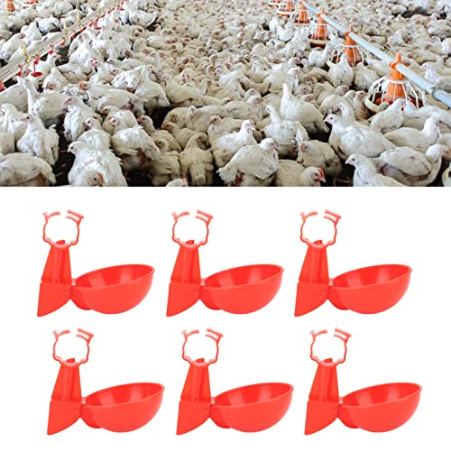 6 Pçs Automático Copos de água de Frango Conveniente Kit de água de Aves Adequado para Pintinhos Pat