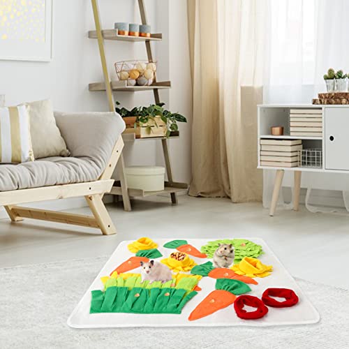 Cavia Foraggiamento Coniglio Foraggiamento Cibo