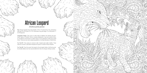 Cats: A Smithsonian Coloring Book