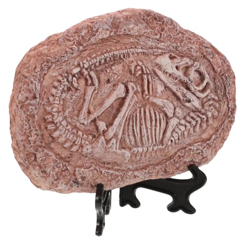 Happyyami Dinosaur Specimen Stone Resin Trilobite Fossil Paleontology Ornament Teaching Prop Sample Decor Reptile Tank Landscape