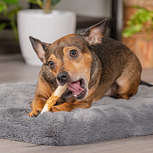 Pet Factory Twistedz American Beefhide 3-3.5" Mini Rolls Dog Chew Treats W/ Real Beef Meat Wrap - 14 Count/1 Pack #TOP1