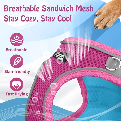Image of AIITLE Comfortable Dog Harness and Leash Set for Walking - Step in Vest Harness,Reflective Bands, Adjustable No Pull Puppy Essentials, for Small Dogs and House Cats Pink XS