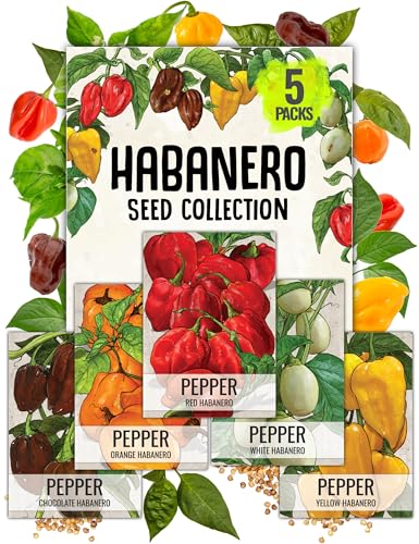 Seed Needs Habanero Seeds Variety Pack of 5 Peppers Non-GMO & Heirloom