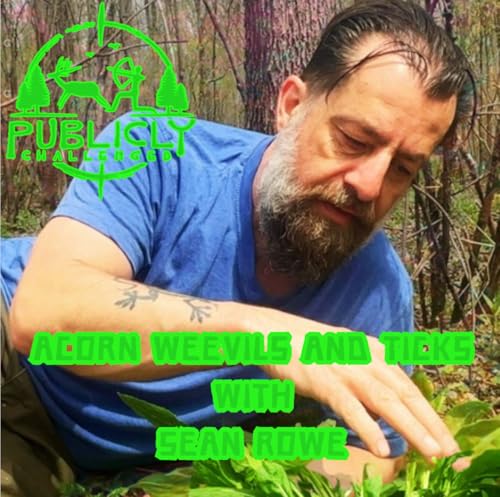 ACORN WEEVILS AND TICKS