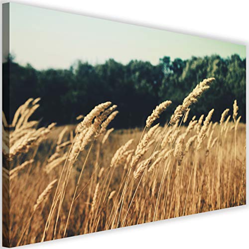 Toile XXL paysage nature marron pour créer un salon chaleureux